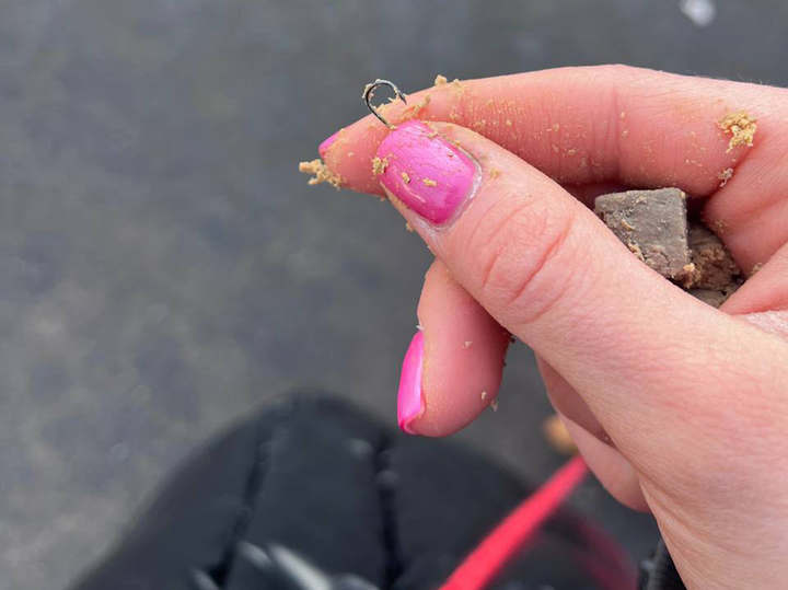 В Новой Москве активизировались догхантеры: хозяева бьют тревогу из-за зверских методов - МК В Новой Москве активизировались догхантеры: хозяева бьют тревогу из-за зверских методов - МК