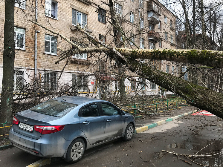 &laquo;ДТП с участием туалета&raquo;: каких бед натворил ураган в Москве и области - МК