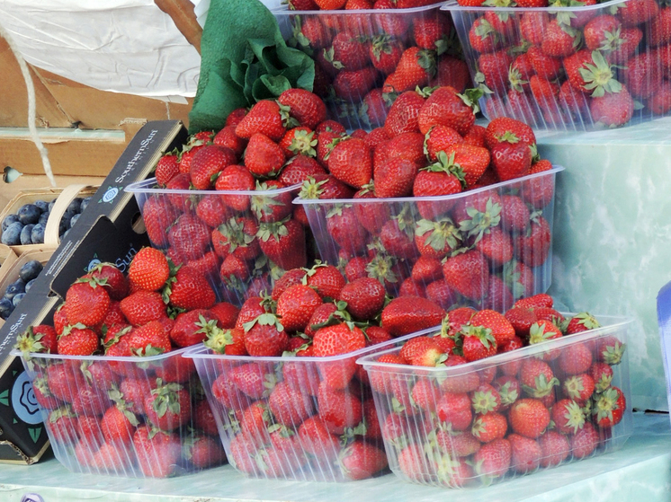 Стартует сезон торговли клубникой: цена впечатляет - МК