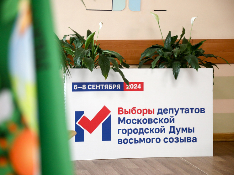 Выборы состоялись: горожане оценили преимущества онлайн-голосования - МК