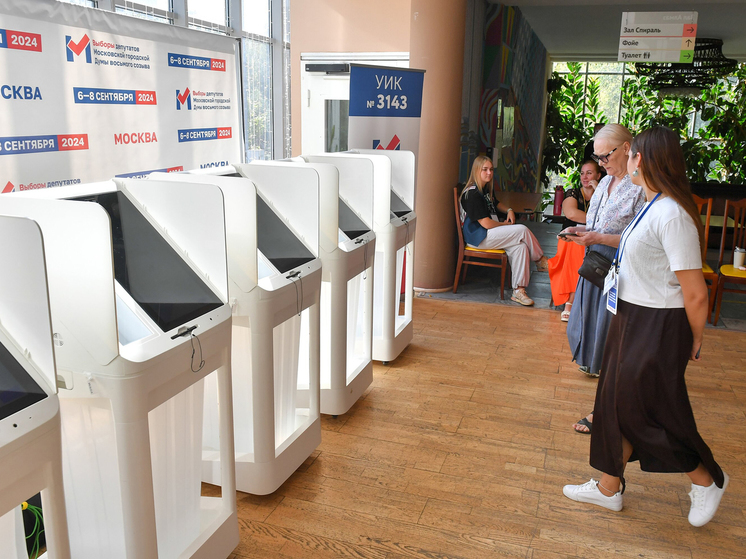 Выборы в столице прошли благополучно: граждане ответственны, явка высока - МК Выборы в столице прошли благополучно: граждане ответственны, явка высока - МК