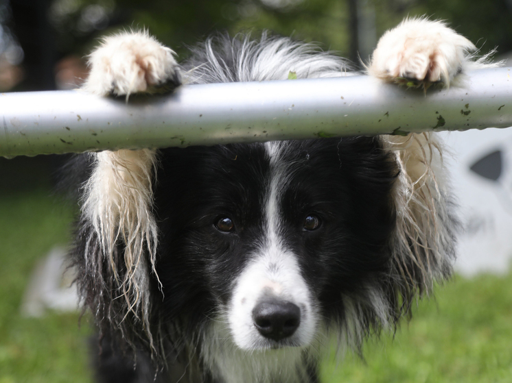 Завершилась сессия платформы &laquo;Город идей&raquo;, посвященная московской культуре - МК
