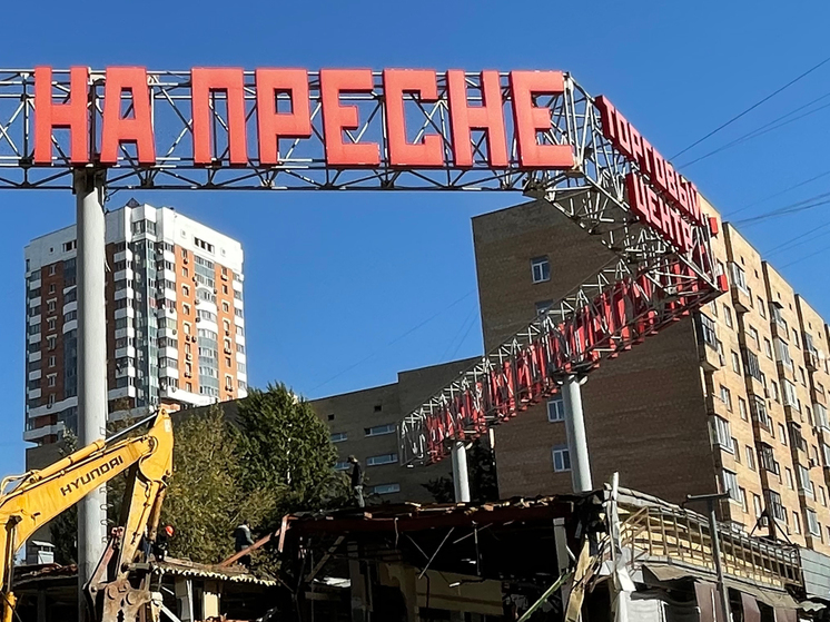 Начался снос ТЦ &laquo;Электроника на Пресне&raquo;: здесь будет элитное жилье - МК