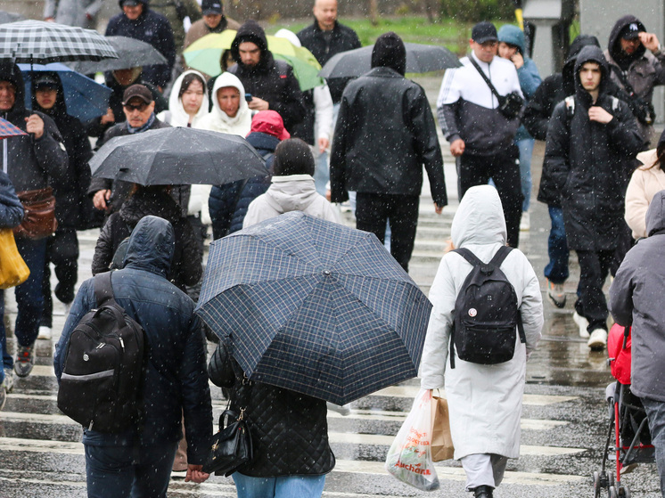 Москвичей предупредили о предстоящих экстремальных ливнях &laquo;с подмешиванием мокрого снега&raquo; - МК