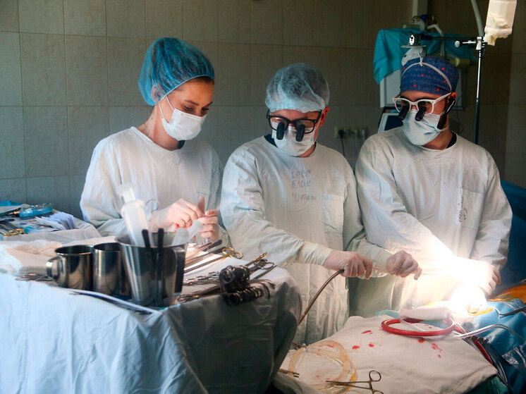 Развитие высокотехнологичной медицины: шаг в будущее - МК Развитие высокотехнологичной медицины: шаг в будущее - МК