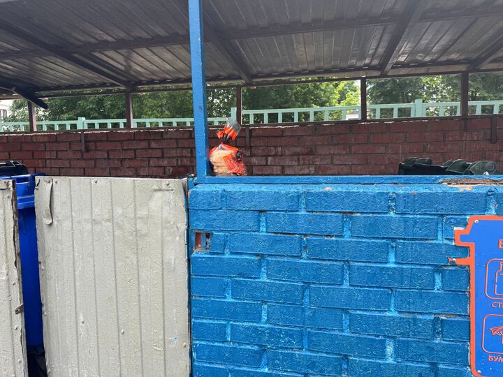 &laquo;Сразу жить хочется&raquo;: обычная московская мусорка стала местом странных перформансов - МК