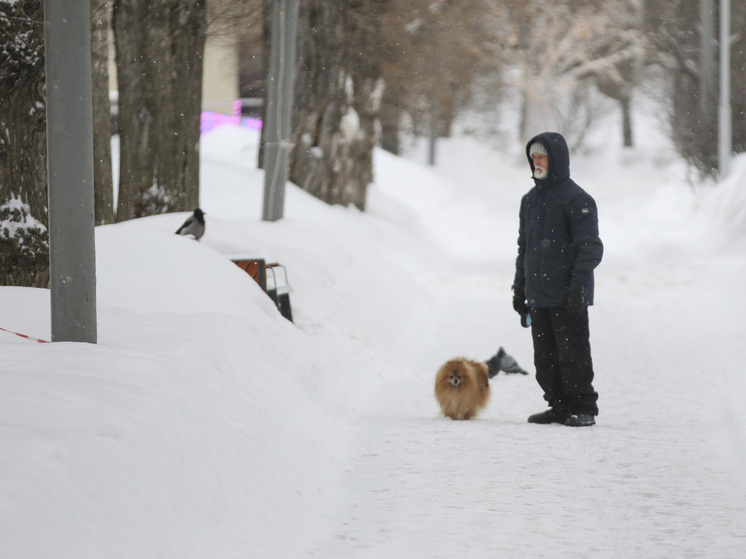 Синоптики рассказали, когда в Москве выпадет снег - МК Синоптики рассказали, когда в Москве выпадет снег - МК