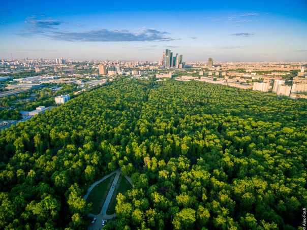 Парк Фили Парк Фили