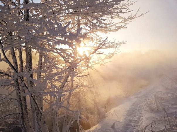 Подмосковье, р.Пехорка Подмосковье, р.Пехорка