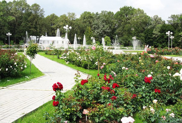 Самые красивые места в Москве, где можно любоваться цветами Самые красивые места в Москве, где можно любоваться цветами
