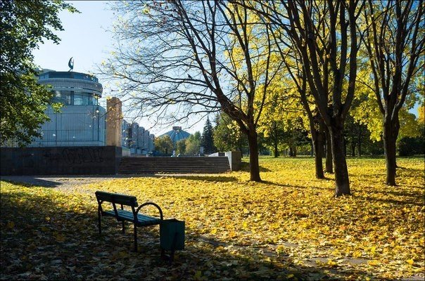 Золотая осень в московских парках и скверах. Золотая осень в московских парках и скверах.