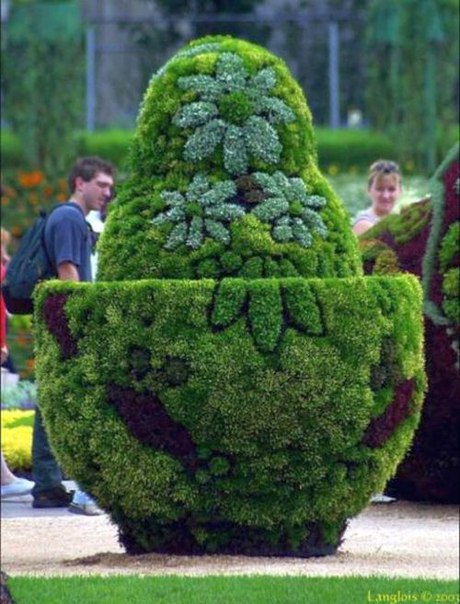 Международная выставка «Цветы-2016» Международная выставка «Цветы-2016»