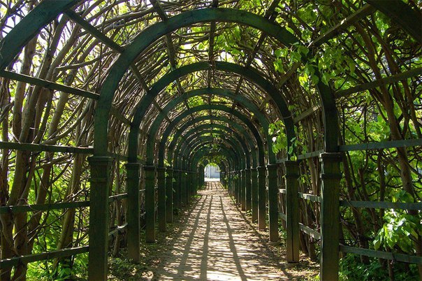 Усадьба Архангельское в Подмосковье Усадьба Архангельское в Подмосковье