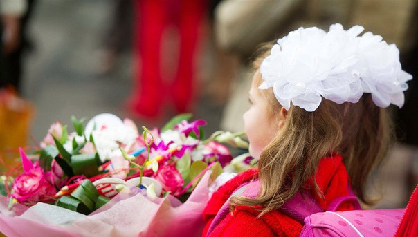 Солнечная и холодная погода ожидается в московском регионе утром 1 сентября Солнечная и холодная погода ожидается в московском регионе утром 1 сентября