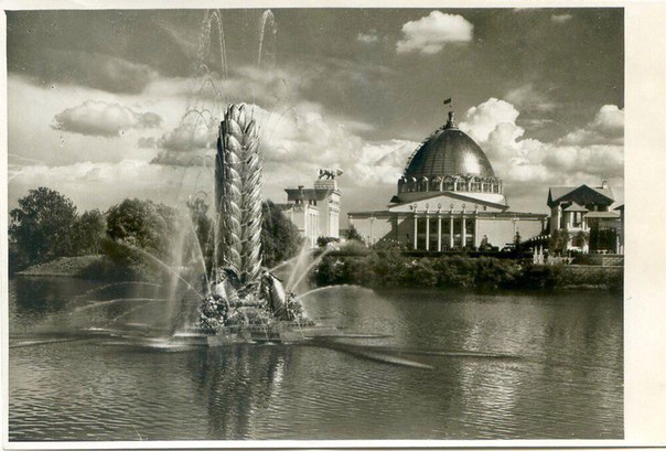 ВСХВ. 1954г. ВСХВ. 1954г.