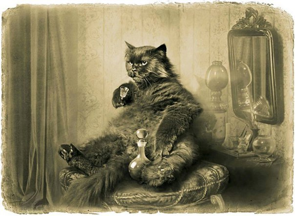 Несчастный человек жесток и черств. А все лишь из-за того, что добрые люди изуродовали его. Несчастный человек жесток и черств. А все лишь из-за того, что добрые люди изуродовали его.