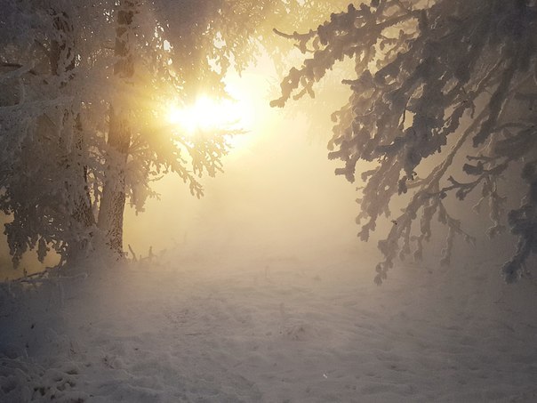 Подмосковье, р.Пехорка Подмосковье, р.Пехорка