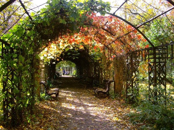 Самые красивые места в Москве, где можно любоваться цветами Самые красивые места в Москве, где можно любоваться цветами