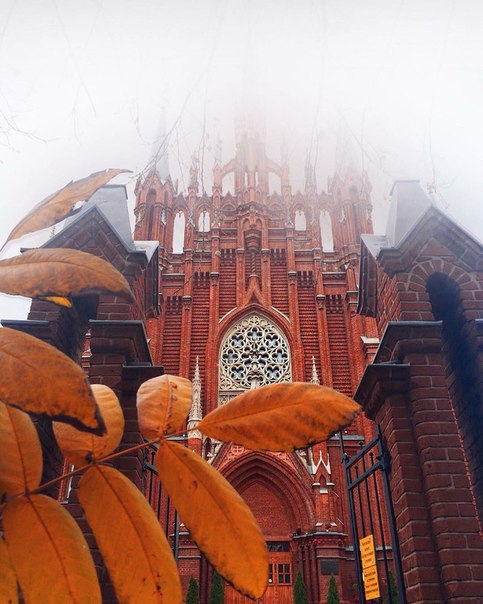 Таинственный Кафедральный собор Непорочного Зачатия Пресвятой Девы Марии в тумане осенью Таинственный Кафедральный собор Непорочного Зачатия Пресвятой Девы Марии в тумане осенью