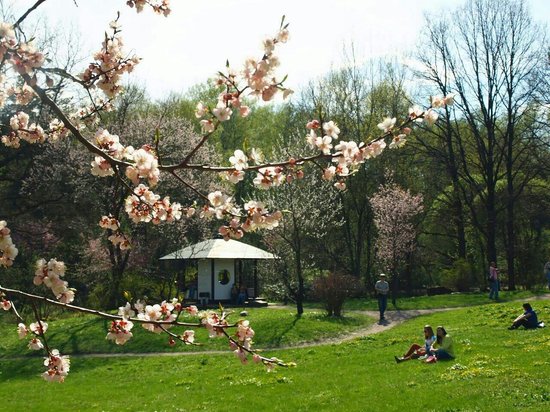 Места в Москве и Подмосковье, где можно почувствовать себя за границей Места в Москве и Подмосковье, где можно почувствовать себя за границей