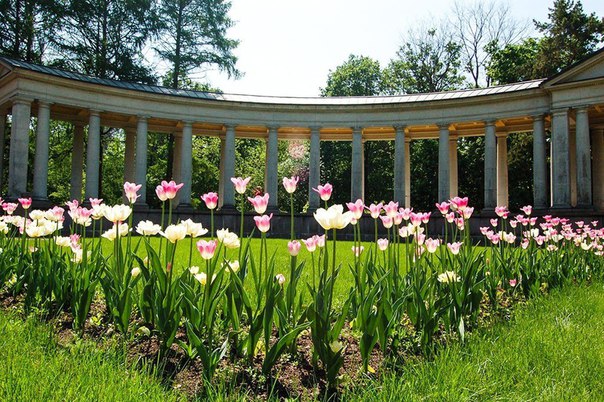 Усадьба Архангельское в Подмосковье Усадьба Архангельское в Подмосковье