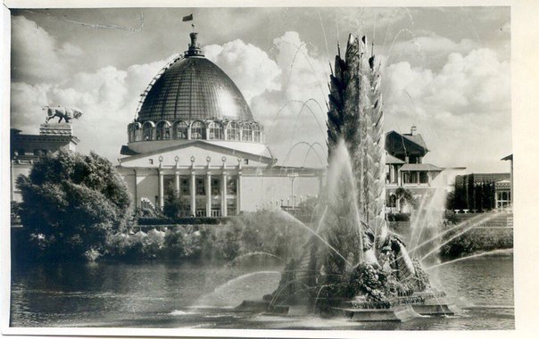 ВСХВ. 1954г. ВСХВ. 1954г.