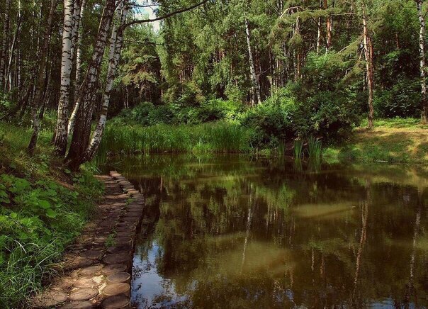 Куда сходить в Бибирево Куда сходить в Бибирево