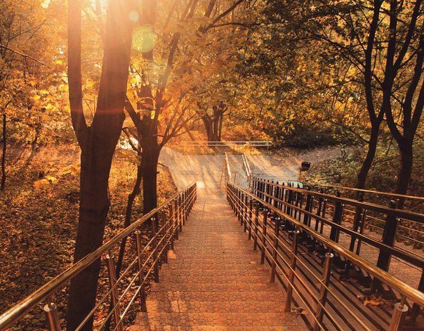 Лестница в осень Лестница в осень