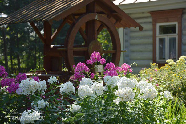 Усадьба Мелихово - путешествие из Москвы по стопам великого русского писателя А.П. Чехова Усадьба Мелихово - путешествие из Москвы по стопам великого русского писателя А.П. Чехова