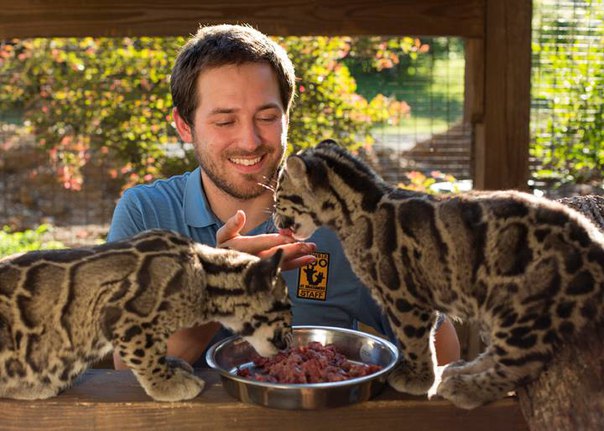 В День рождения столицы перед гостями Московского зоопарка проведут кормление 12 видов животных В День рождения столицы перед гостями Московского зоопарка проведут кормление 12 видов животных