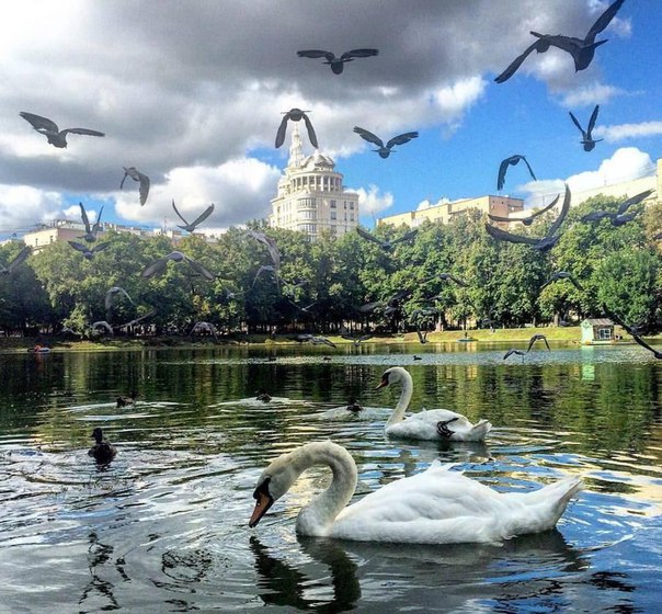 Патриаршие пруды Патриаршие пруды