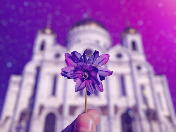 Московские сны Московские сны