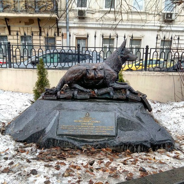 Фронтовая собака недалеко от метро «Чистые пруды». Есть и такой памятник в Москве. Фронтовая собака недалеко от метро «Чистые пруды». Есть и такой памятник в Москве.