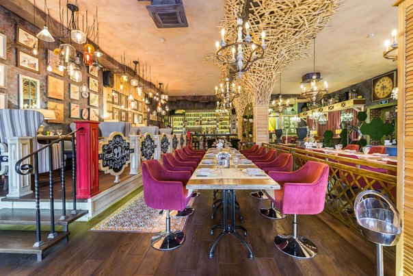 5 ресторанов Москвы с животными 5 ресторанов Москвы с животными