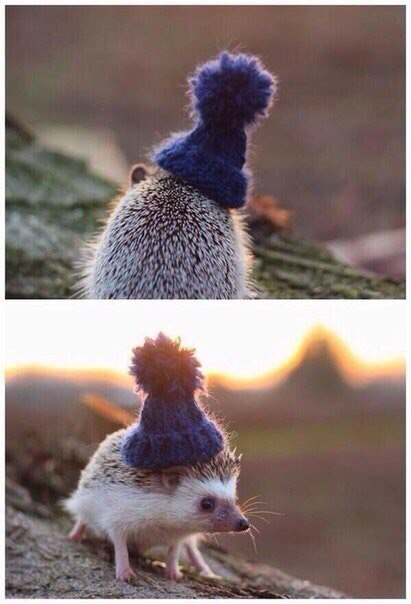 К осени готов К осени готов