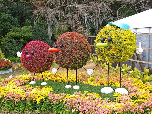 Международная выставка «Цветы-2016» Международная выставка «Цветы-2016»