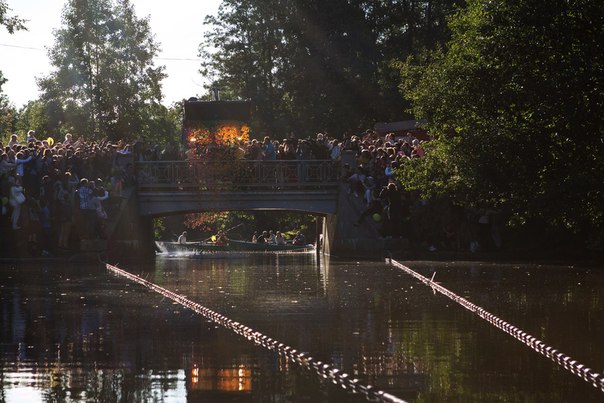 Благотворительный заплыв утят Благотворительный заплыв утят