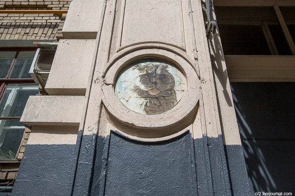 Вот такой вот котик живёт на доме 12 в переулке Сивцев Вражек в Москве Вот такой вот котик живёт на доме 12 в переулке Сивцев Вражек в Москве