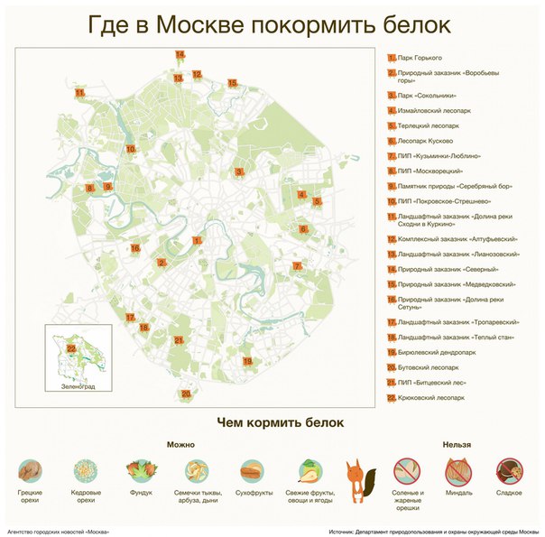 Ранняя осень — прекрасное время для прогулок по столичным паркам. Чтобы был лишний повод выбраться поближе к природе, предлагаем карту мест, где в Москве можно покормить белок. Ранняя осень — прекрасное время для прогулок по столичным паркам. Чтобы был лишний повод выбраться поближе к природе, предлагаем карту мест, где в Москве можно покормить белок.