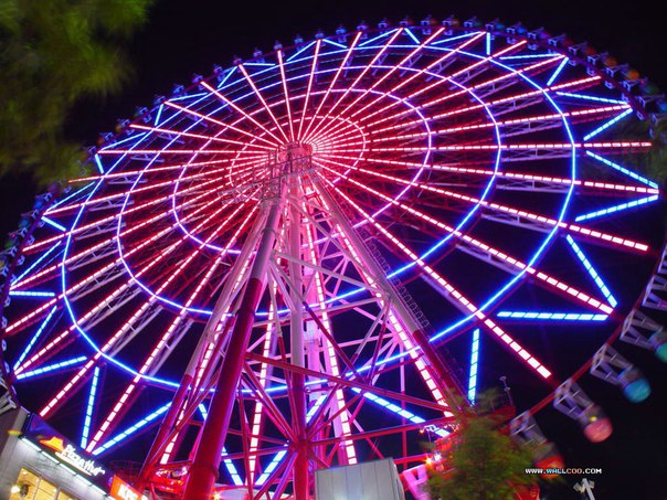 Самое высокое колесо обозрения в Европе установят на ВДНХ в Москве в 2018 году Самое высокое колесо обозрения в Европе установят на ВДНХ в Москве в 2018 году