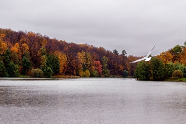 Царицыно Царицыно