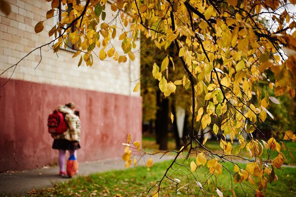 По прогнозам синоптиков, бабье лето наступит ближе к концу месяца. А пока нас ждёт арктический холод. По прогнозам синоптиков, бабье лето наступит ближе к концу месяца. А пока нас ждёт арктический холод.