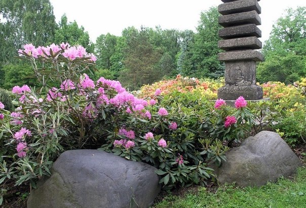 Самые красивые места в Москве, где можно любоваться цветами Самые красивые места в Москве, где можно любоваться цветами