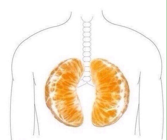 В предверии Нового Года, мои В предверии Нового Года, мои