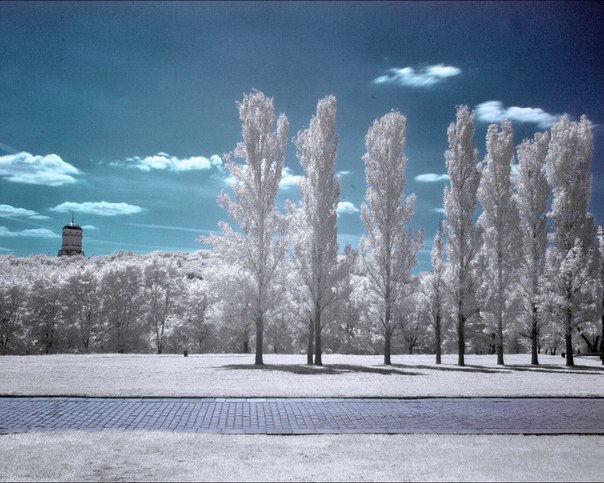 Коломенское. Лето. Коломенское. Лето.