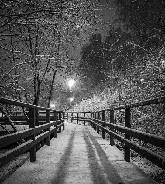 Бибирево Бибирево