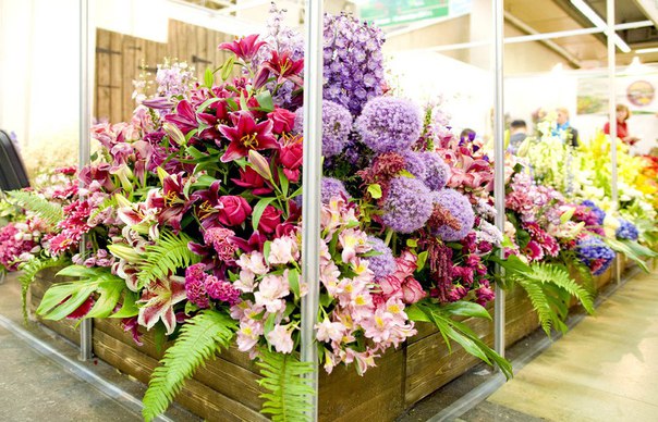 Международная выставка «Цветы-2016» Международная выставка «Цветы-2016»