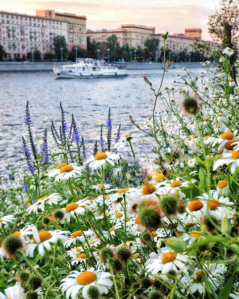 Рассветный час в Нескучном саду Рассветный час в Нескучном саду