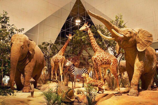 13 самых захватывающих музеев столицы 13 самых захватывающих музеев столицы