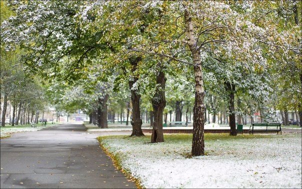 Золотая осень в московских парках и скверах. Золотая осень в московских парках и скверах.